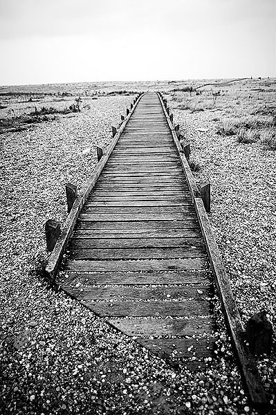 Dungeness16