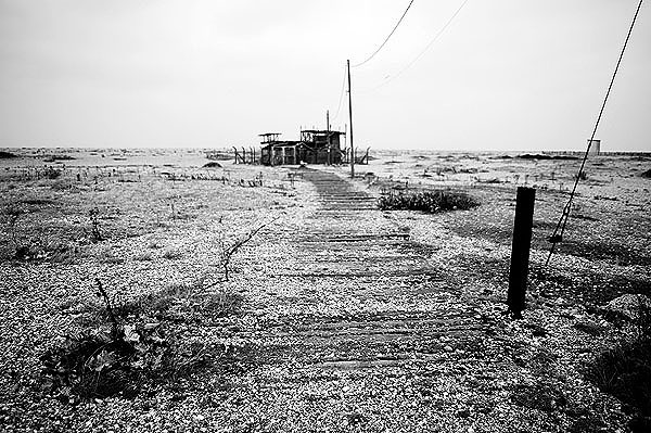Dungeness17