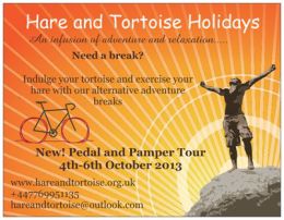 Hare and Tortoise Holidays