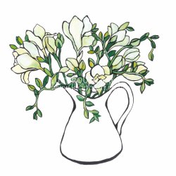Jug of Freesias