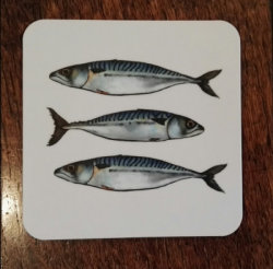 Mackerel coaster