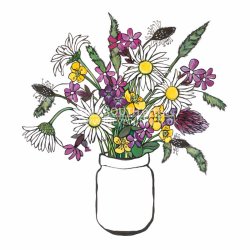 Meadow Flowers