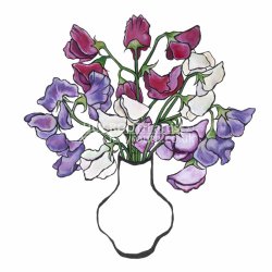Sweet Peas