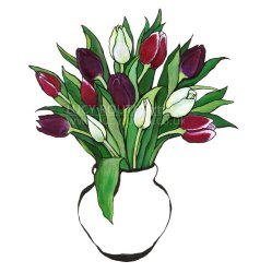 Tulips