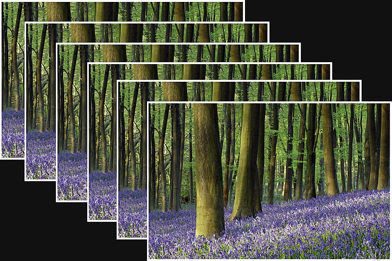 steve mackay photography Focus stacking landscapes