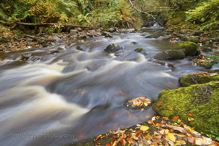 Golspie Burn in autumn