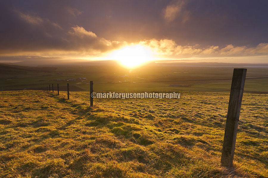 Harray sunburst