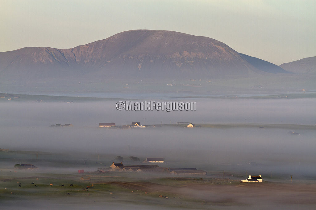 Mist at dawn