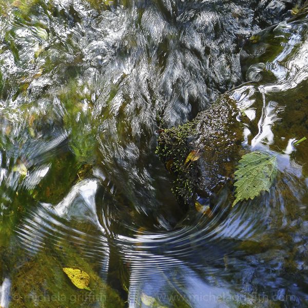 Vortex II