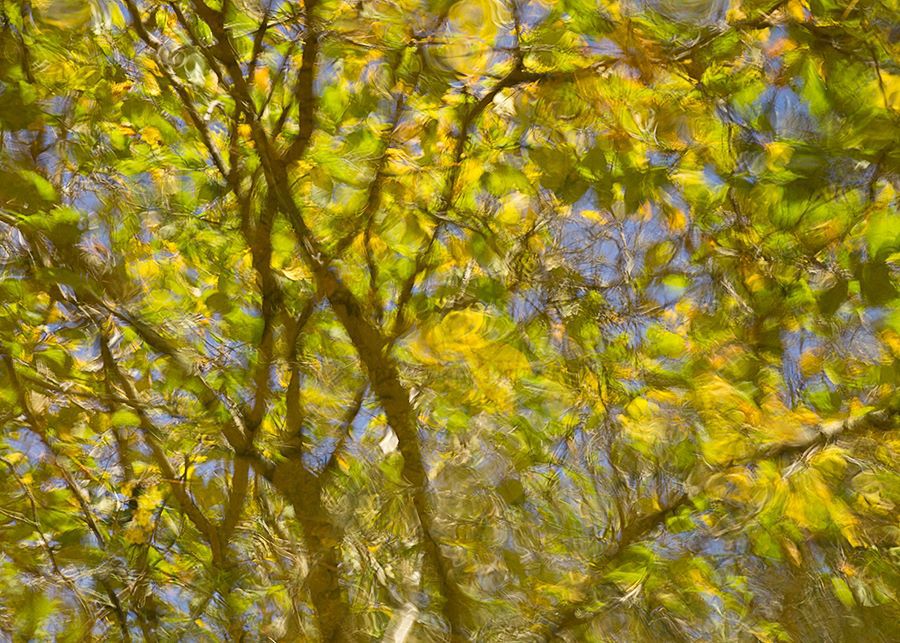 Brushstrokes