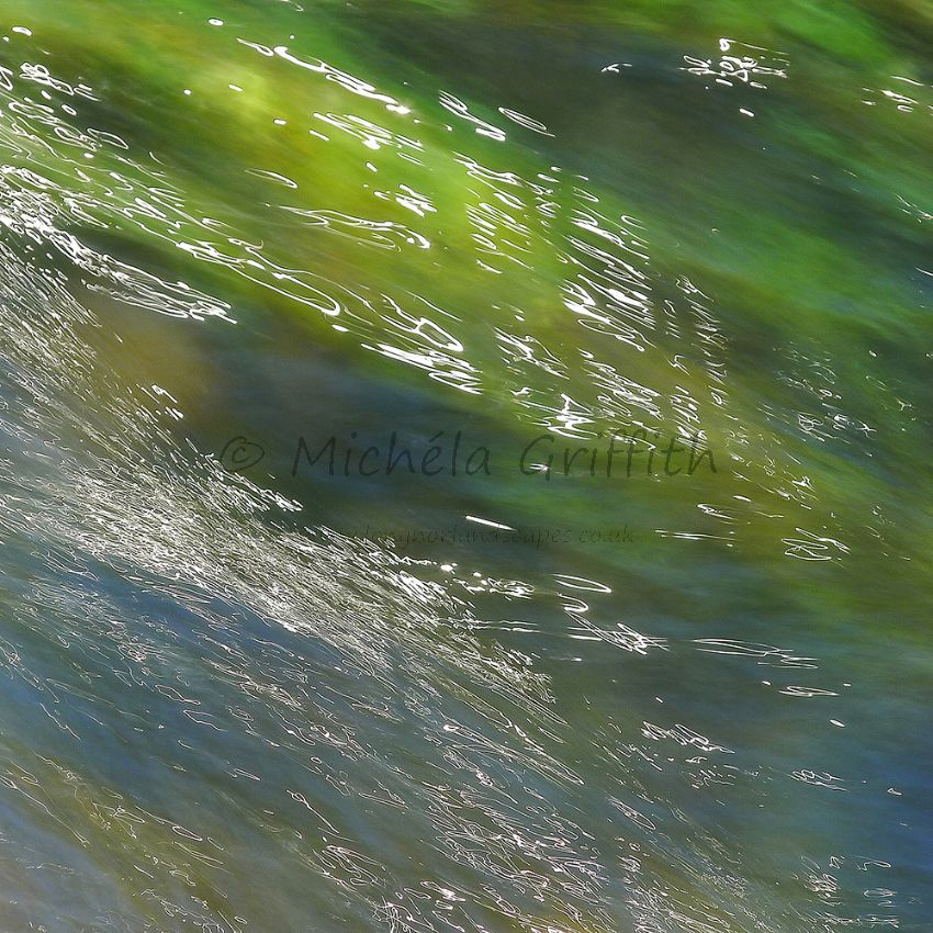 Grass, Reflected IV