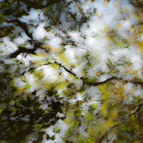 An Autumn Palette