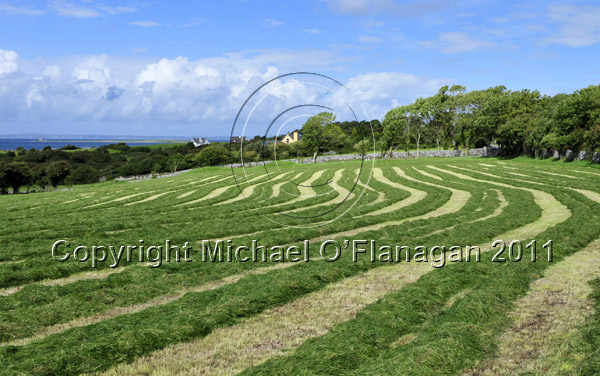 Bishopsquarter, Co. Clare Ref. # DSC0804CR