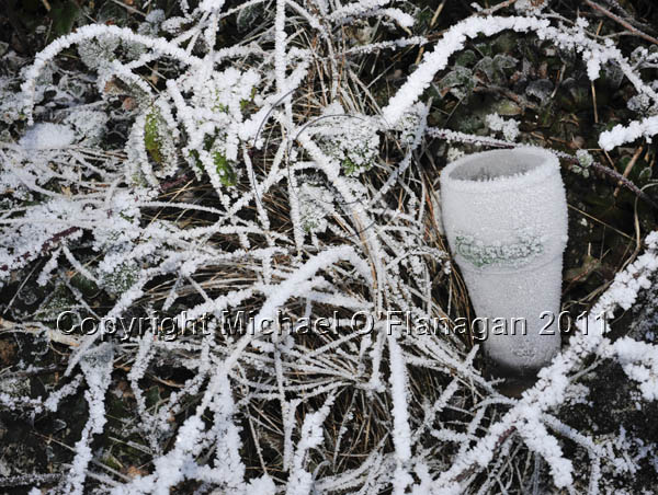 Frosted Beer Glass, Corofin, Co. Clare Ref. # DSC4895