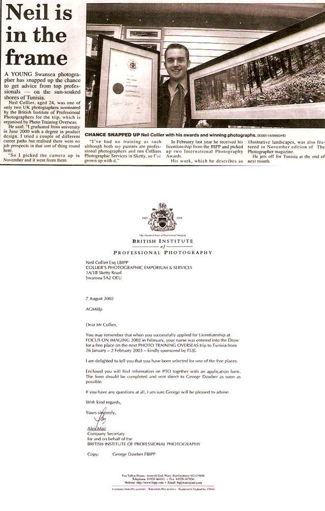 Article text