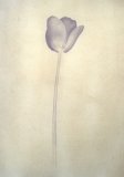 Anthotypes