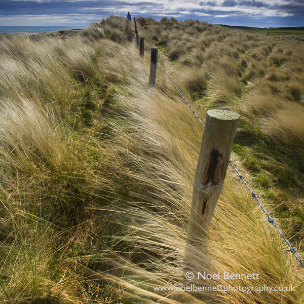 Beadnell Bay