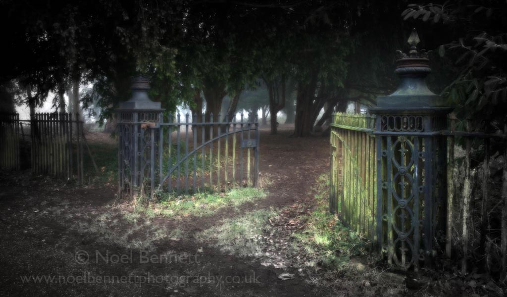 Gates To The Old Woods