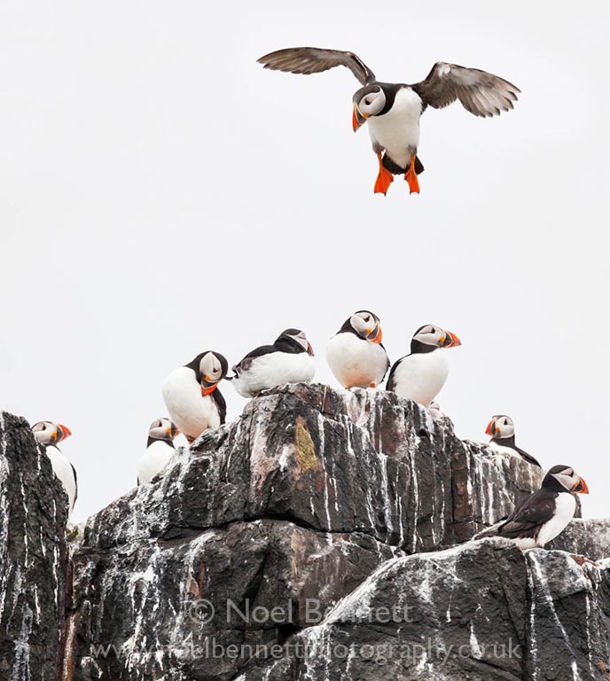 Attempted Landing!