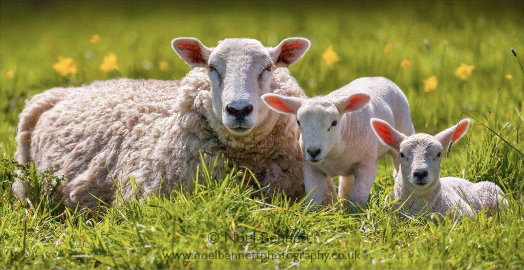 Spring Arrivals