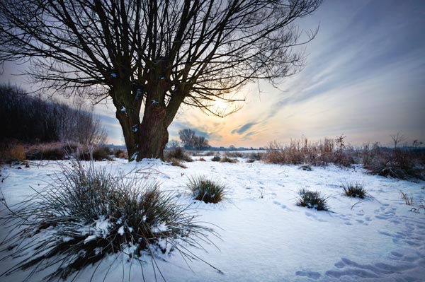 Winter On Doxey Marshes