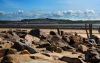 Crow-point-in-Devon