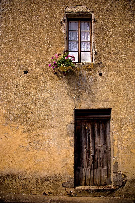 Window Flowers