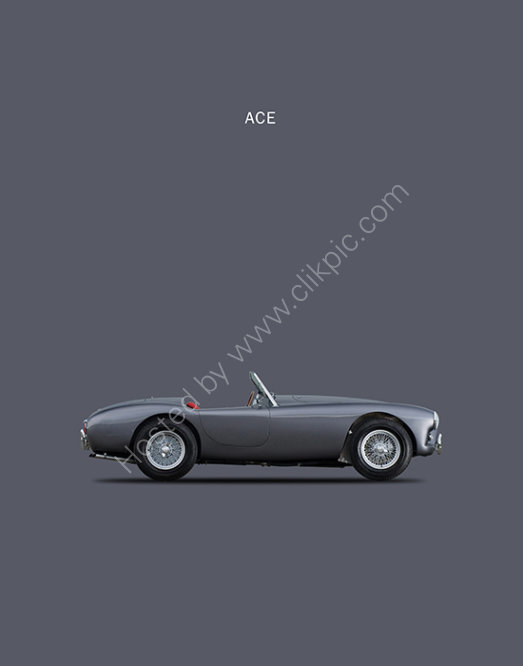 AC Ace 1951