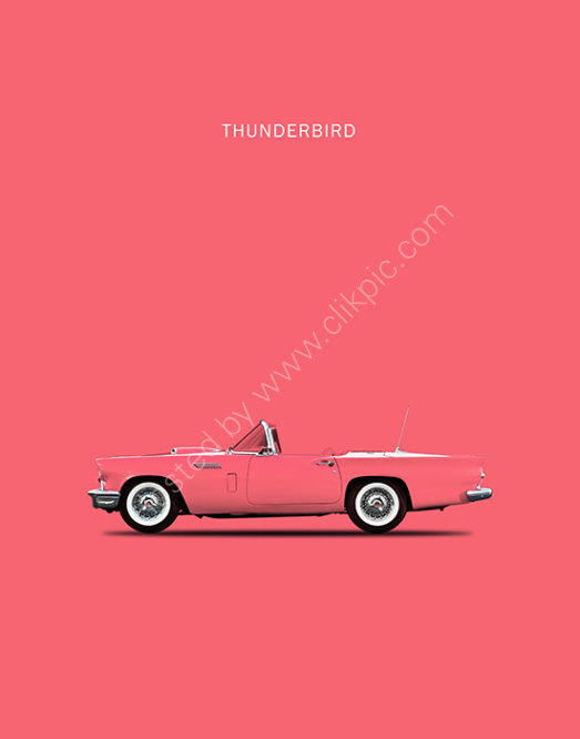 Ford Thunderbird 1957 Pink
