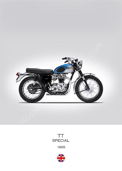 Triumph TT Special 1965