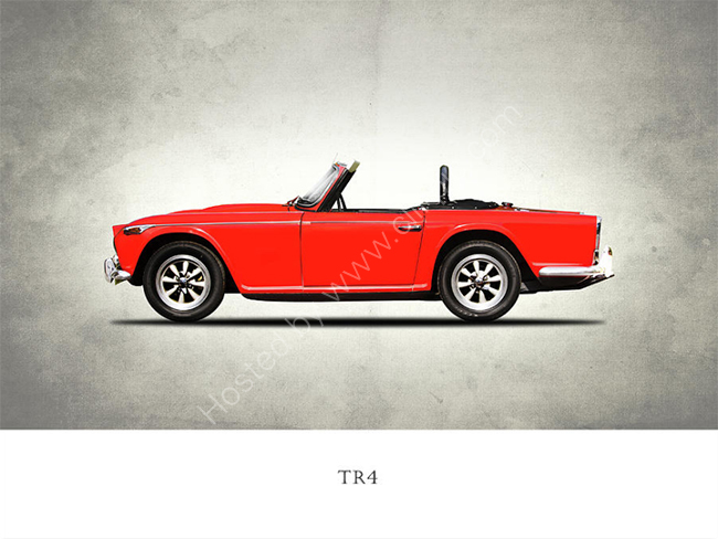 Triumph TR4