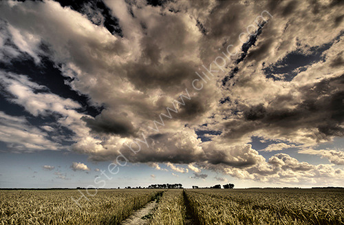 Ash to StapleThe view along the footpath that links the two villages