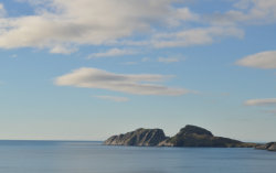 puffin island