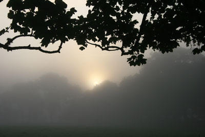 Warrens Cross Sunrise, Dartmoor.