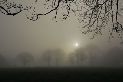 Silver Sunrise Plasterdown Dartmoor
