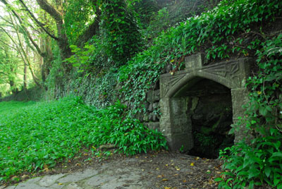 St Johns Well Tavistock Meadows