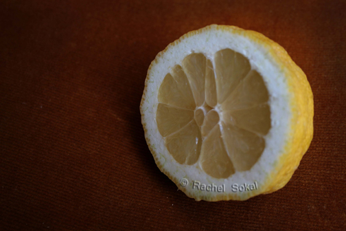 Lemon Heart