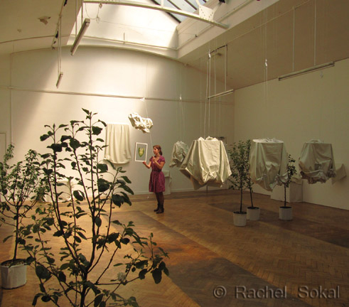 Living Echo exhibition, apple trees courtesy of the Forest of Avon Trust