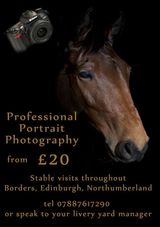 Equestrian Portrait Photography