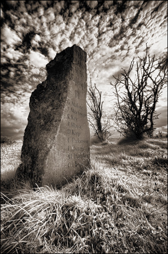 This Land Was Ravaged By...