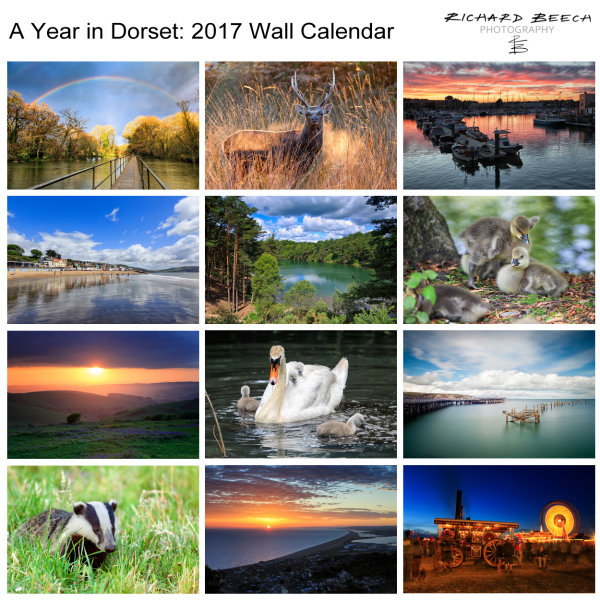 'A Year in Dorset' 2017 Wall Calendar