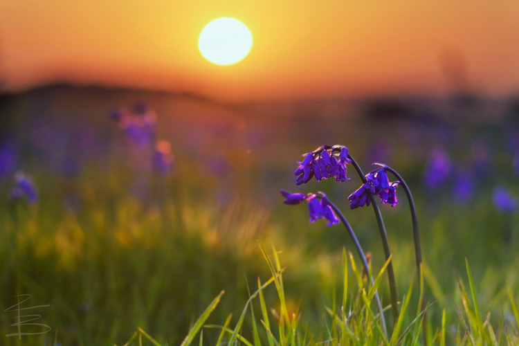 Sunset in the Valley of Stones