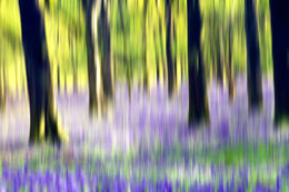 Take Creative Landscape Shots Using Intentional Camera Movement