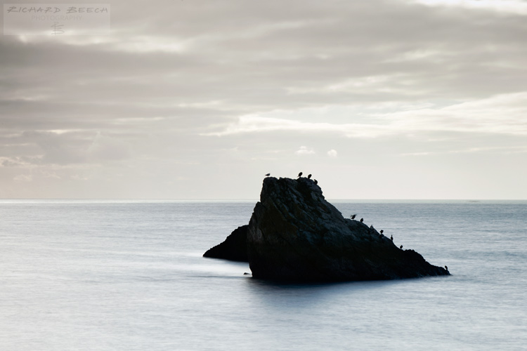 Cormorant Rock