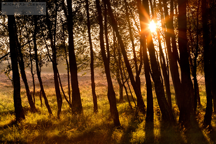 October Morning