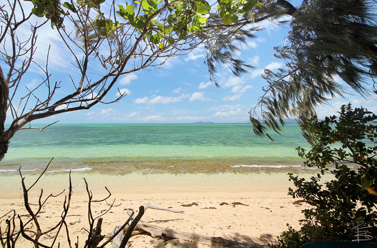 Island Paradise