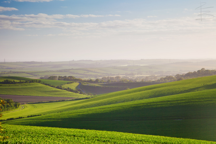 Dorset in the Golden Hour