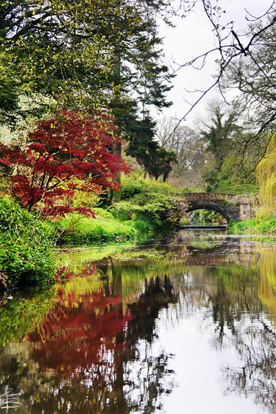 Minterne Gardens