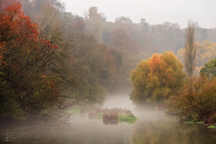 Misty Morning