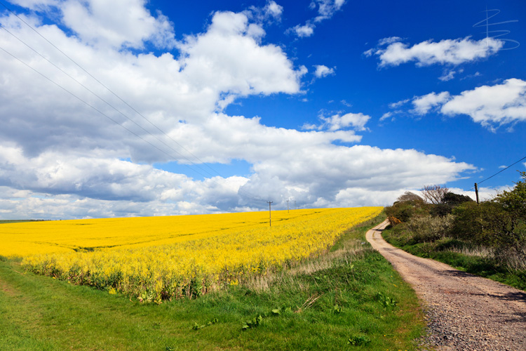 Colours of Agriculture